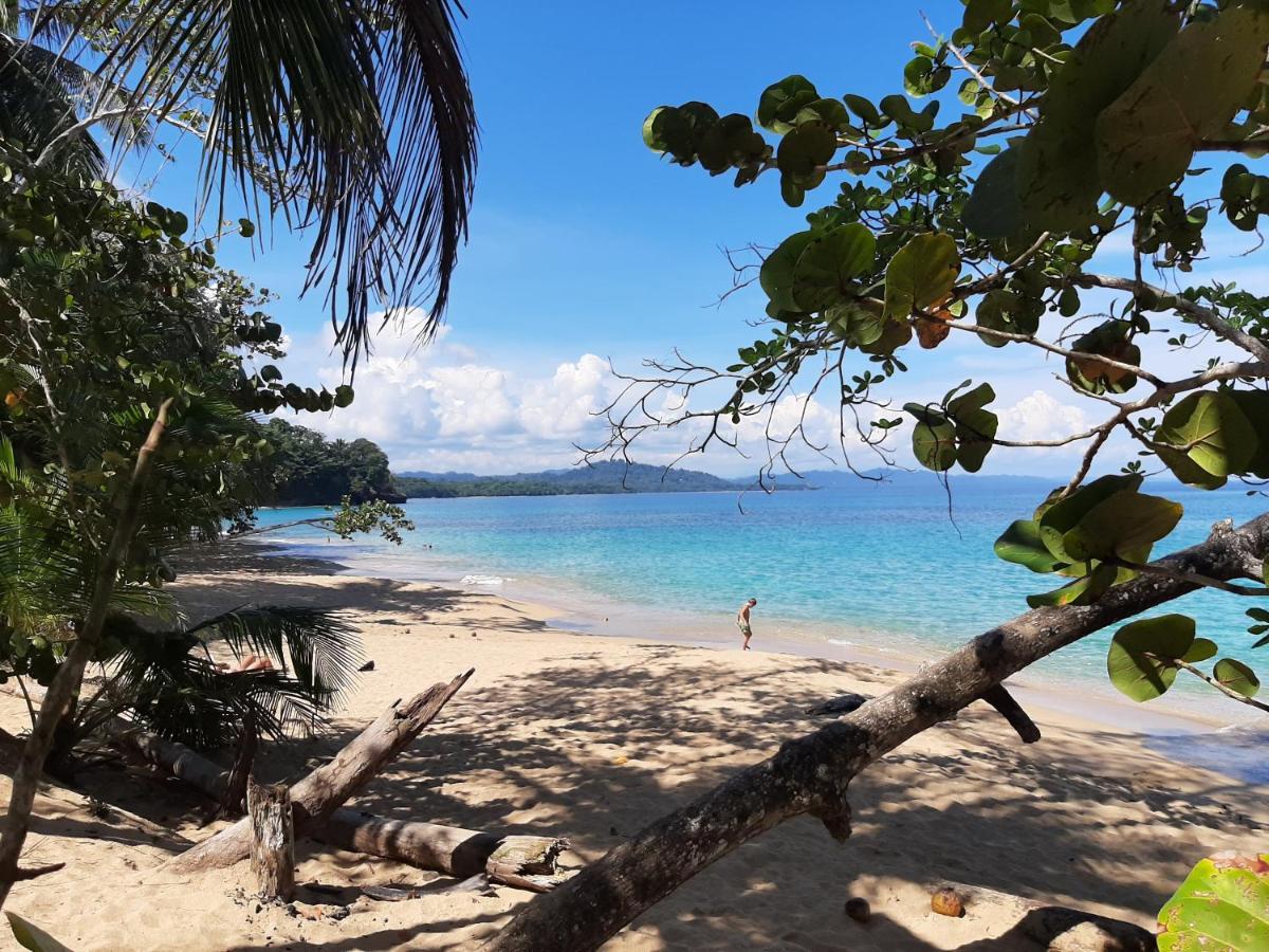 Puerto Viejo de Talamanca Ocean'S Breeze Apartment And Rooms المظهر الخارجي الصورة